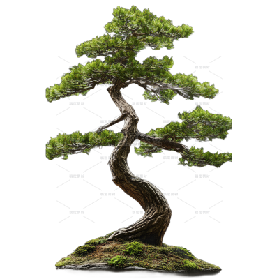 植物系列写实一棵树木元素