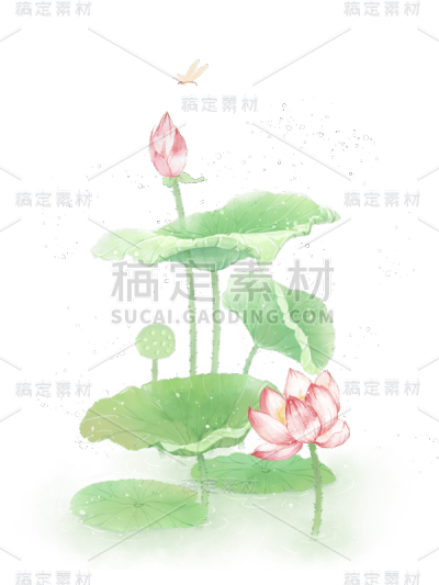 水彩夏天荷花荷叶绿叶