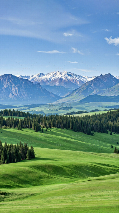 风光系列实景山脉树林草原背景