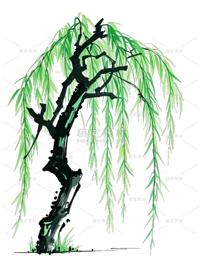 植物系列水墨插画一棵柳树元素