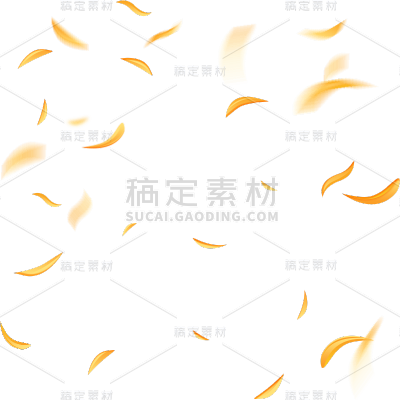 秋天通用写实风飘落金色菊花花瓣氛围场景植物系贴纸元素素材