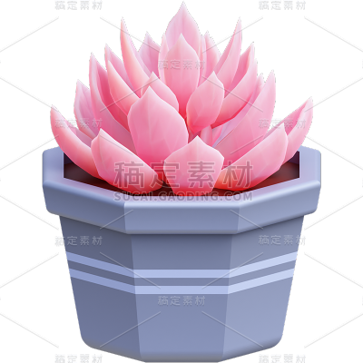 植物多肉盆栽3D贴纸