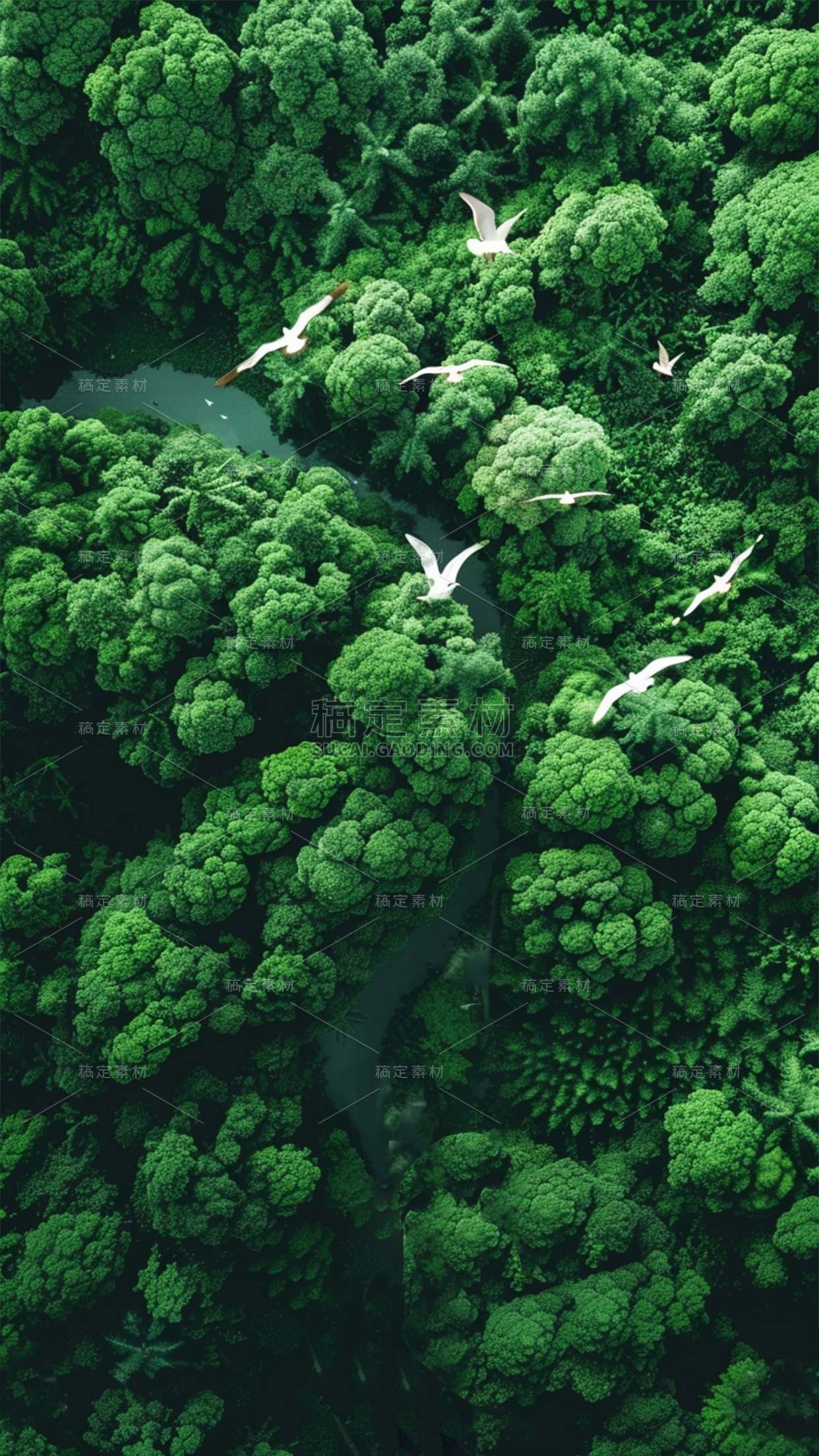 植物实景俯视森林场景背景图片素材