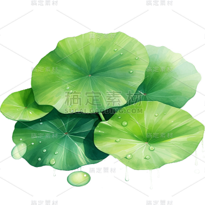 植物通用清新插画绿色荷花荷叶元素素材