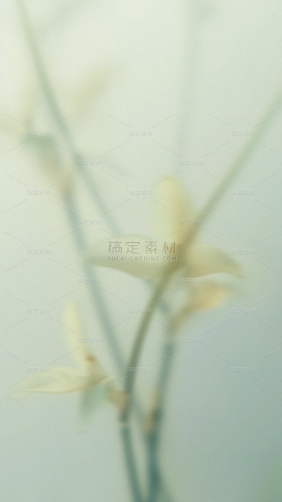 春天梦幻蒙版植物花卉背景元素素材
