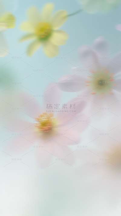 春天梦幻蒙版植物花卉背景元素素材