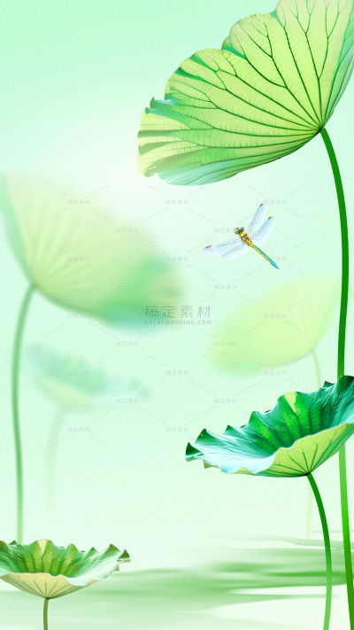 小暑大暑弥散渐变荷叶蜻蜓背景