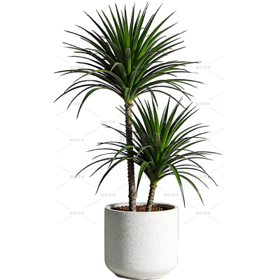植物系列写实绿色植物盆栽元素