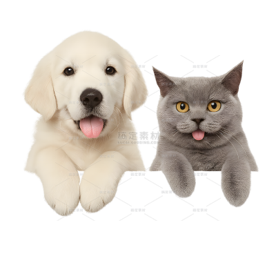 动物系列写实感猫狗吐舌头（td）