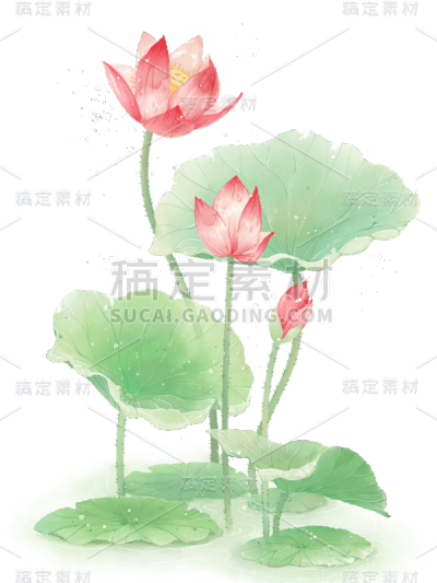 水彩夏天荷花荷叶绿叶