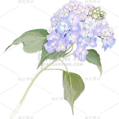 植物通用清新插画花朵元素素材