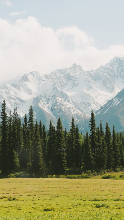 风光系列实景山脉树林草原背景