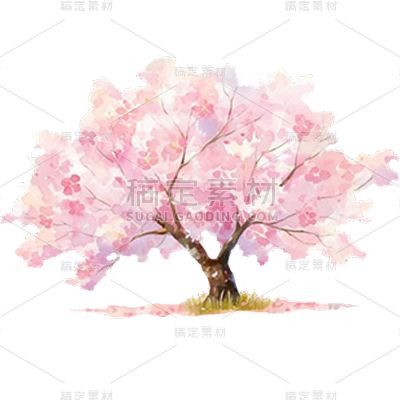 植物通用插画粉色单棵樱花树元素素材