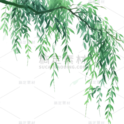 春天春季春日清新水墨风插画柳叶元素素材