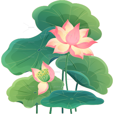植物系列金色描边插画荷花荷叶元素贴纸