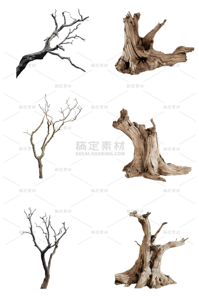 植物通用实景枯树枝元素素材