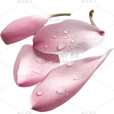 粉色花瓣27