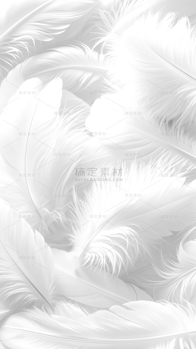 装饰通用羽毛背景图片素材