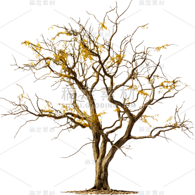 通用实景树木绿色植物元素贴纸