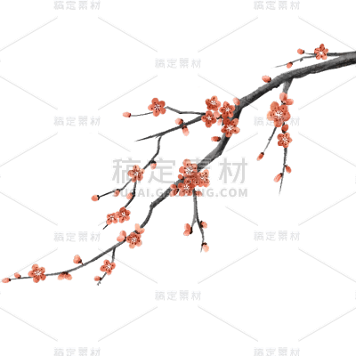 中国风梅花