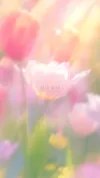花海拍照