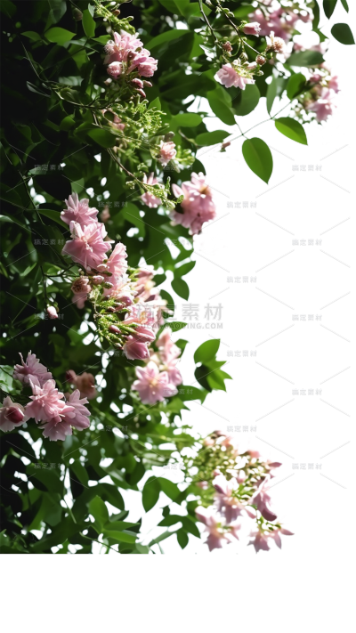 春天春日春季3D立体C4D实景花卉植物边框元素素材