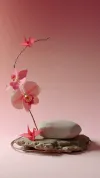 鲜花饼