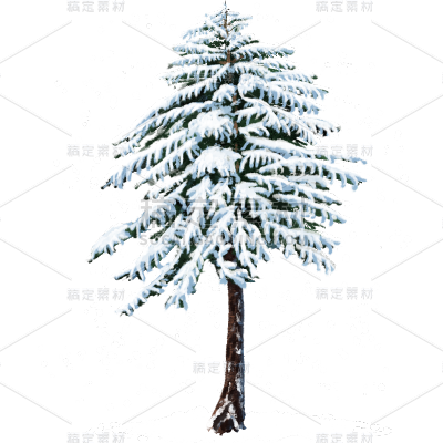 传统节气小雪大雪冬天冬日中国风插画积雪植物