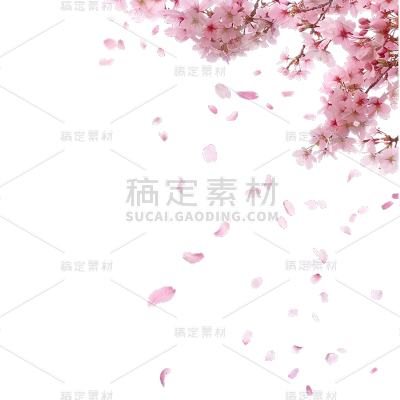 植物通用实景樱花花枝飘花瓣元素素材