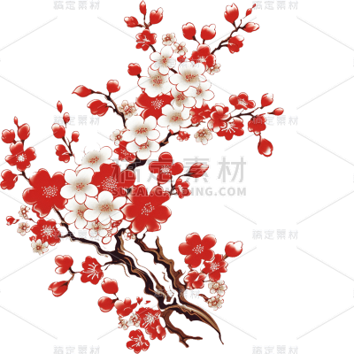 中国风梅花花朵