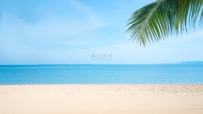 风光系列写实椰树叶沙滩蓝天大海背景