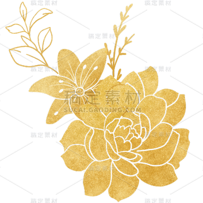 植物烫金花朵插画元素素材