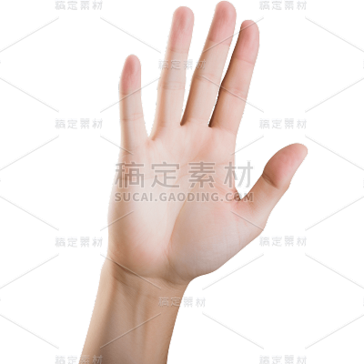 手部静态贴纸