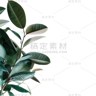 植物通用实景半边植物元素素材