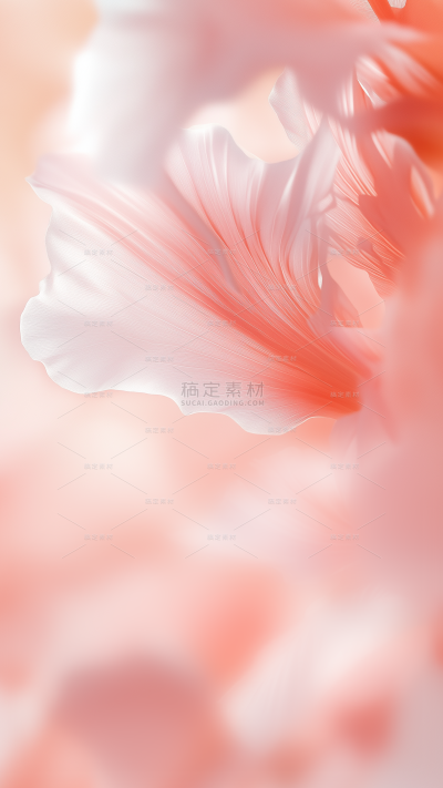 常规植物系列写实风花朵渐变背景