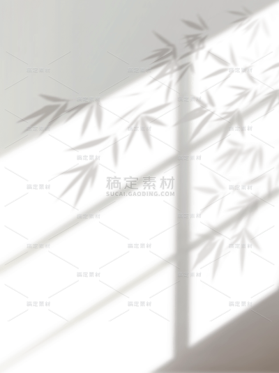 特效系列光影感植物窗影