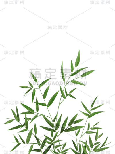 通用手绘插画竹子边框元素