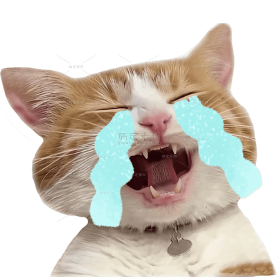 小红书meme搞怪爆款封面动物猫咪贴纸