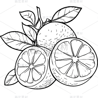 常规果蔬系列通用插画蔬菜元素素材
