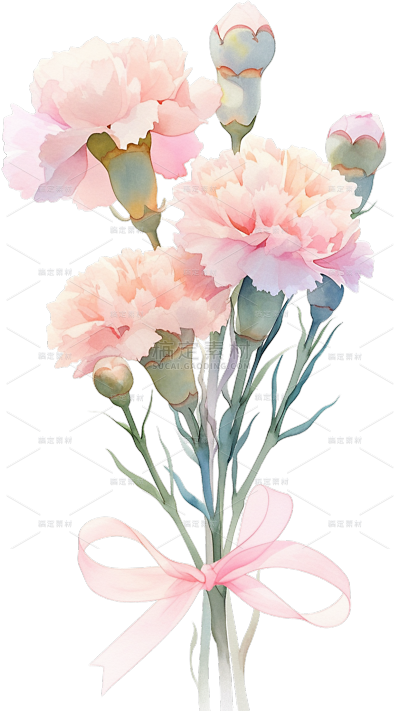 母亲节-水彩插画康乃馨元素