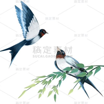 春分中式感杨柳燕子组合插画元素素材
