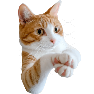 小红书meme搞怪爆款封面动物猫咪贴纸