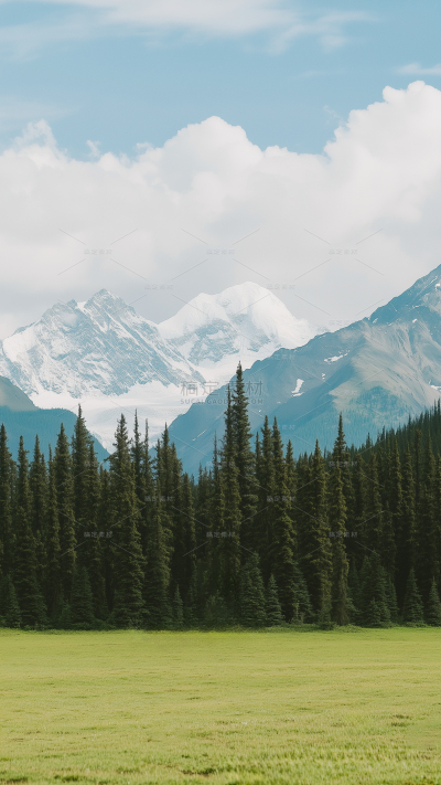 风光系列实景山脉树林草原背景