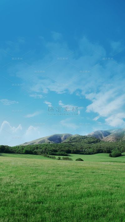 2409MB-图片背景母版-指派歪歪