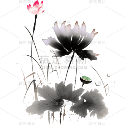 中国风水墨荷花