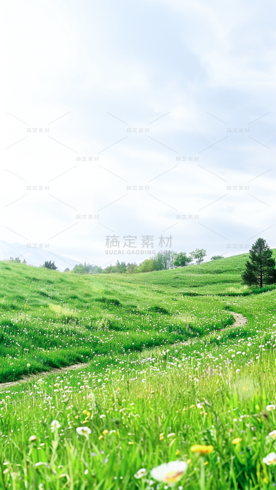 植物通用实景蓝天白云草丛背景场景图片素材