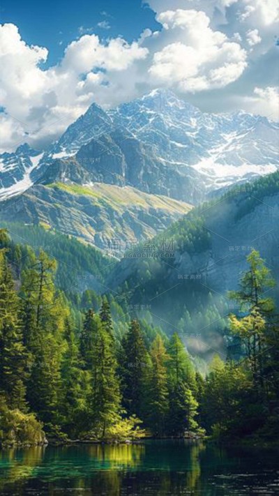 植树节实景平视森林场景背景图片素材