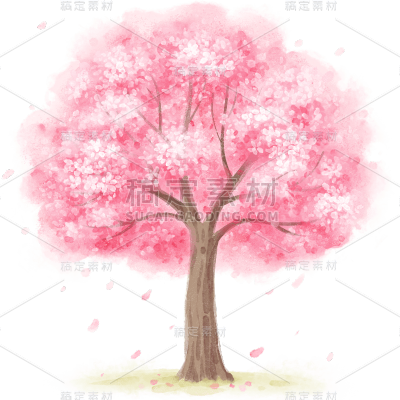 插画手绘樱花树免抠元素