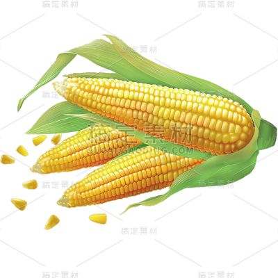 果蔬系列通用玉米写实感插画贴纸