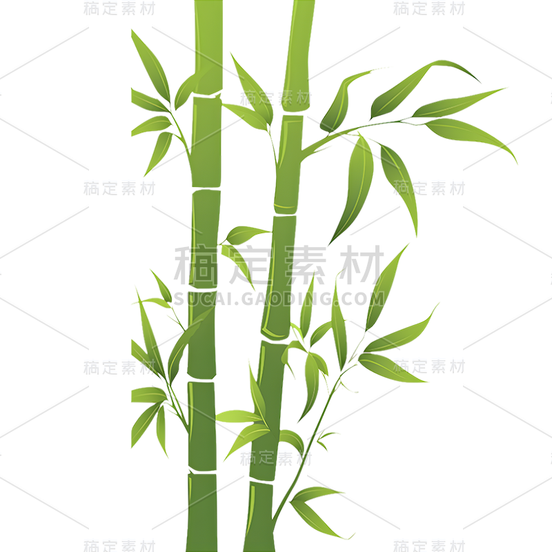 植物通用绿色矢量竹子元素素材